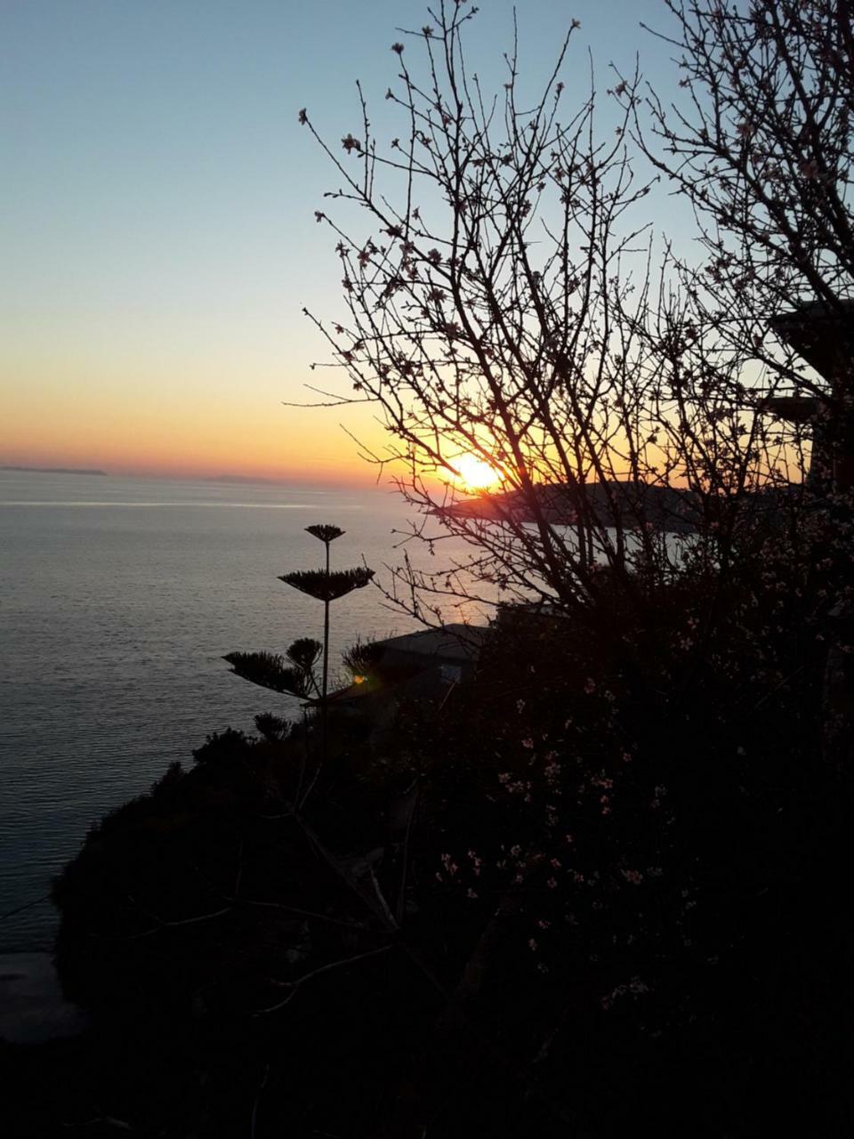 Odhisea Restaurant Qeparo